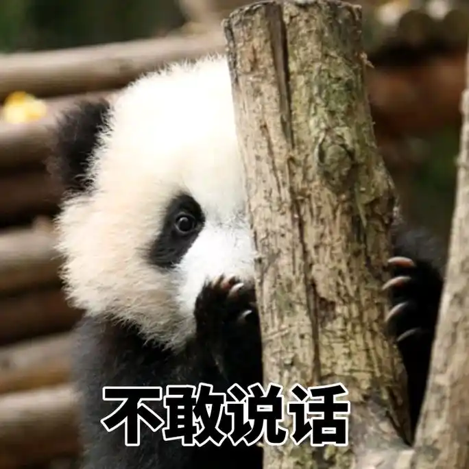 大熊猫不敢说话大熊猫说话不敢表情
