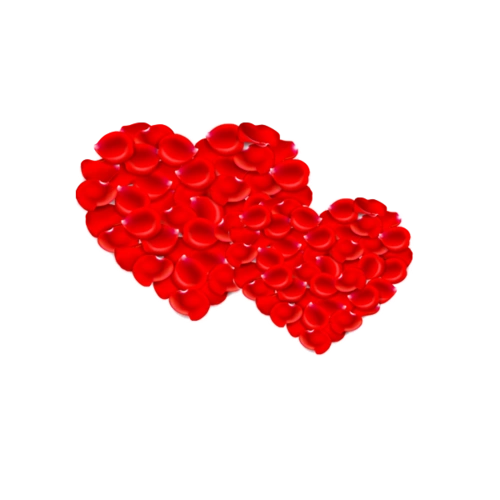 心形花瓣素材图片