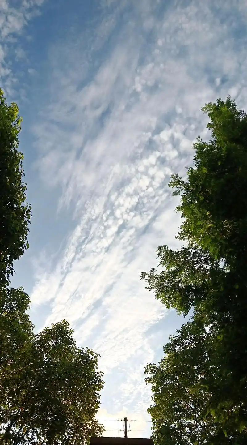 早晨跑步六点的天空,抬头发现美