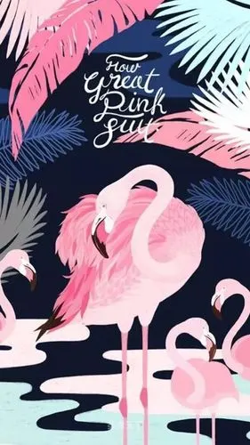 哈哈屏保换张火烈鸟少女心爆棚