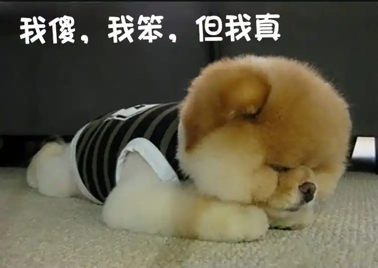 我傻;我笨;但我真这几个字图片