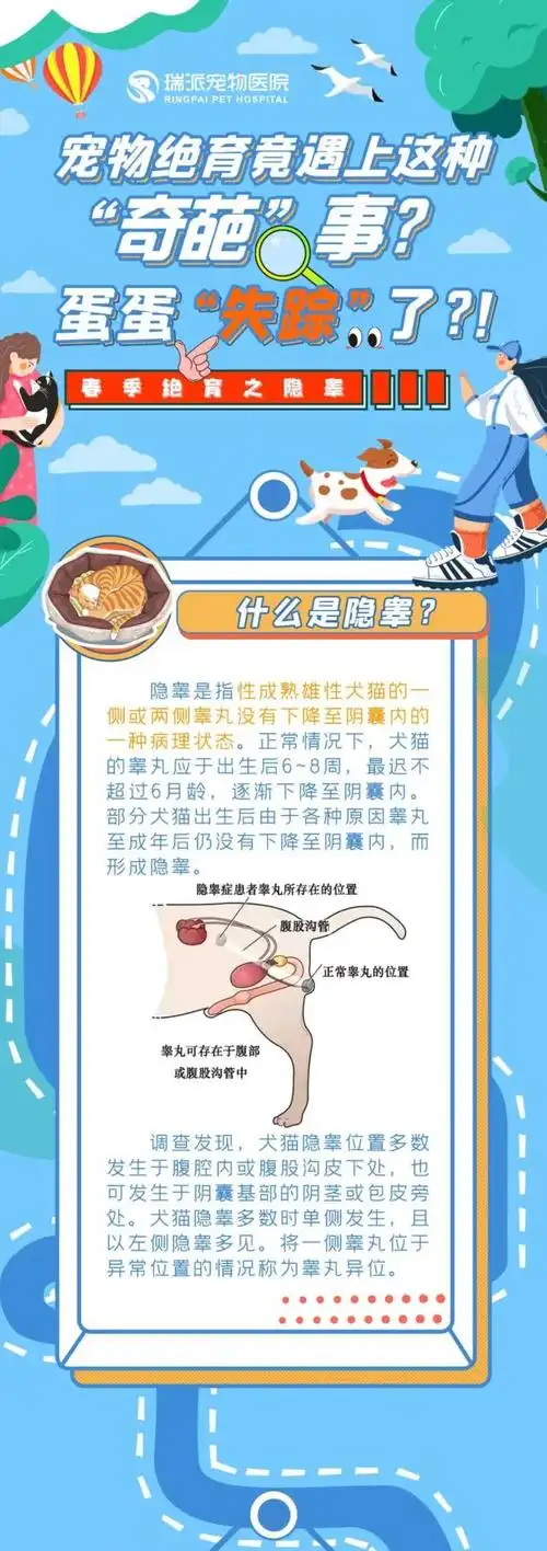宠物绝育竟遇上这种"奇葩"事?蛋蛋"失踪"了?!|绝育|蛋蛋