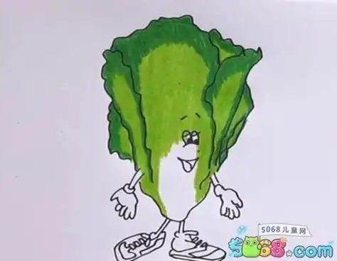 生菜简笔画步骤