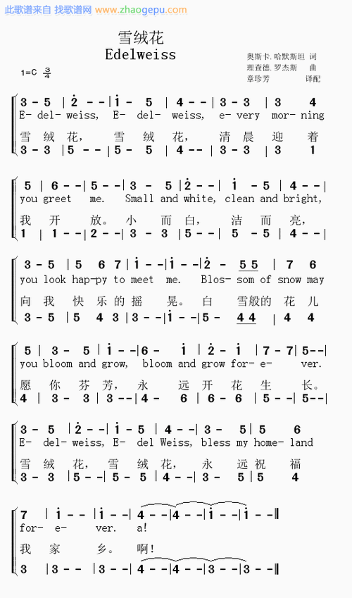 雪绒花歌曲简谱_雪绒花简谱