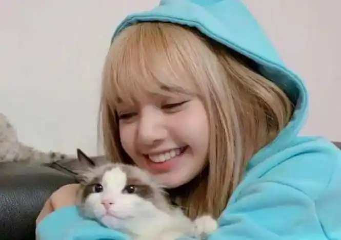 blackpinklisa素颜照首次曝光网友热议明星真实面貌