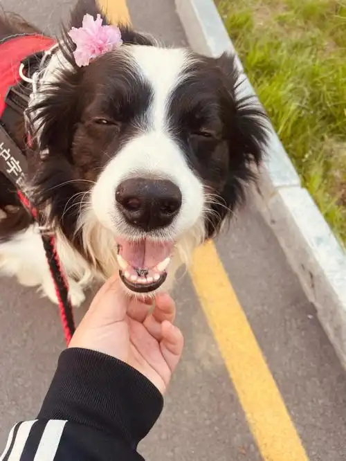 可能这就是鬼迷六眼吧