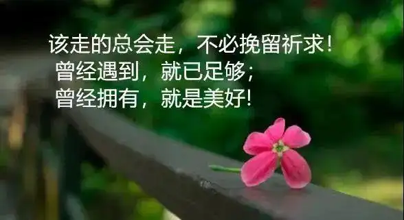 人生感悟的句子图片带字,句句深入人心的经典句子