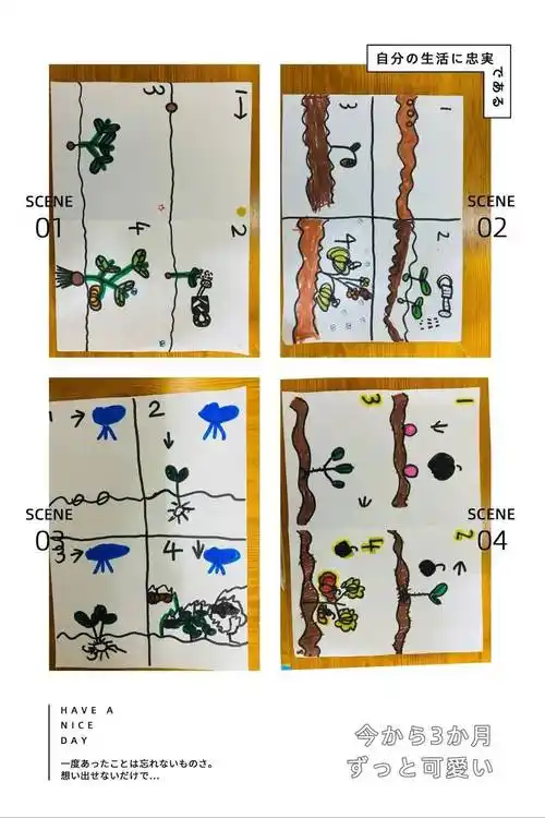 通过视频我们还知道了南瓜的生长过程:发芽期,幼苗期,抽蔓期,成熟期