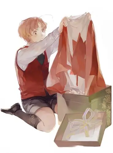 『黑塔利亚』 『aph』 加拿大 【ヘタリア】a present from future