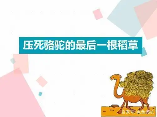 压死骆驼最后一根稻草