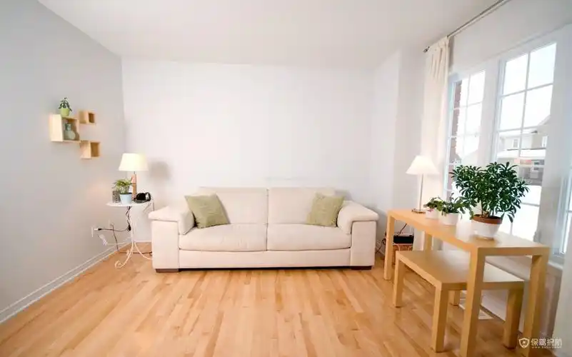 客厅木地板装修效果图-保驾护航装修网