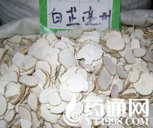 白芷显微鉴别和理化鉴别