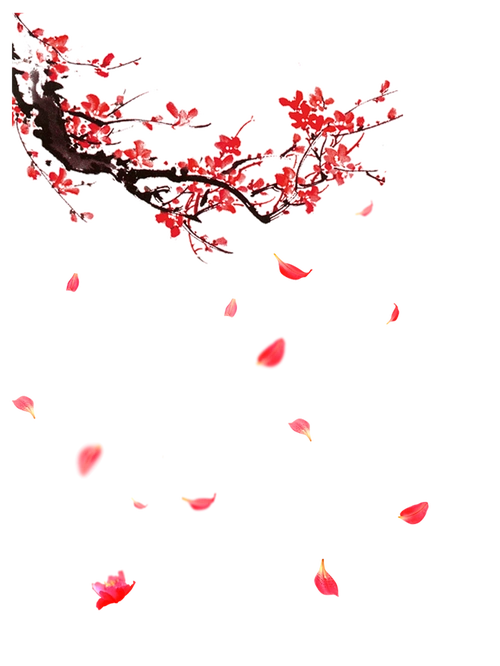 梅花png素材   树枝  花瓣 中国风梅花png