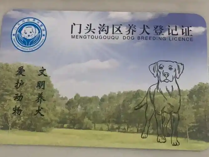 北京狗证这事真是给我整无奈了01