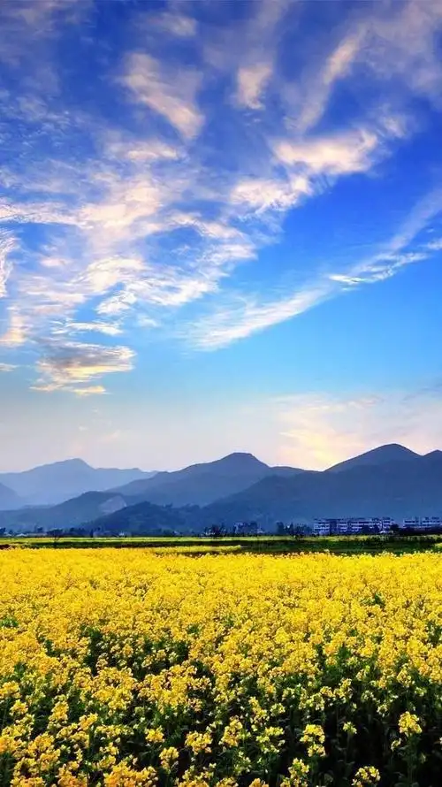 版块 69 华为手机 69 华为mate9系列 69 主题美化 69 【质感