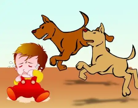 三龄童眼睛被狗咬伤 亲戚打死狗拒赔医药费(图)