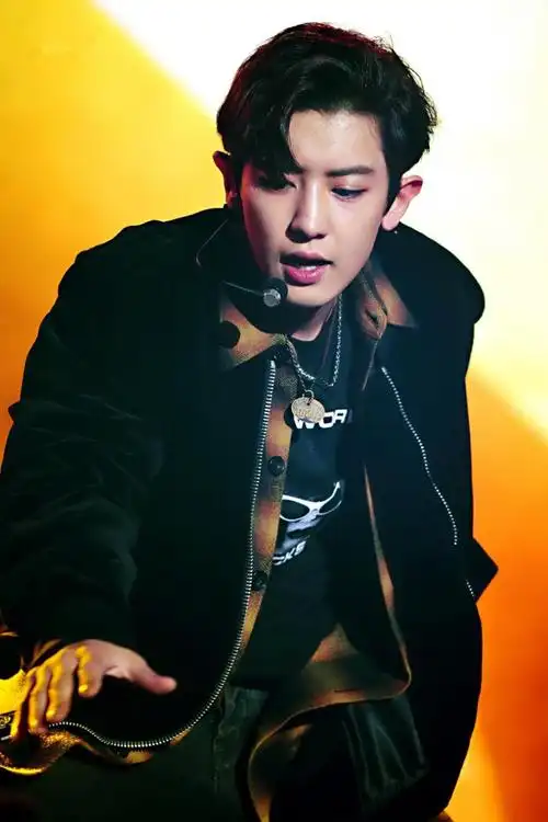 朴灿烈exo成员24朴灿烈,exo