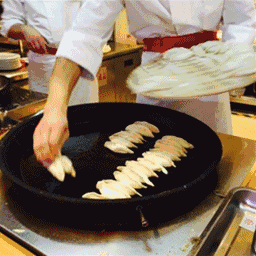 小吃美食流口水好吃的饺子锅贴gif动图_动态图_表情包下载_soogif