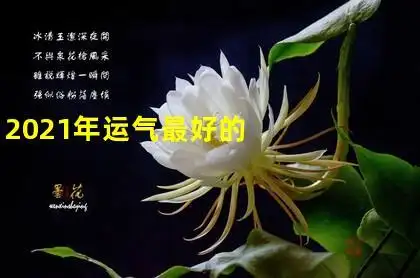 2021年运气最好的八字