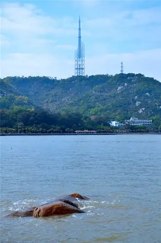 【图片10】春节旅游之五珠海--蜂鸟论坛照片套图