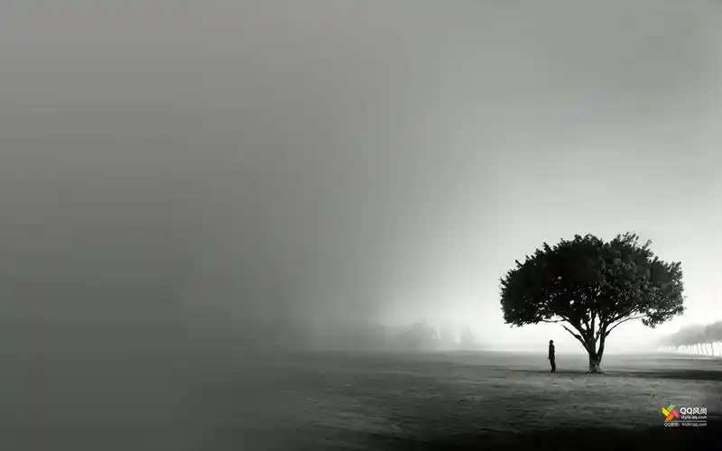 qq风尚壁纸第十一辑