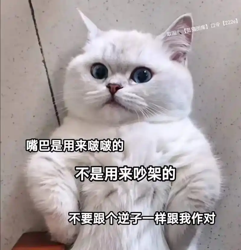 情侣表情包 #发给对象表情包 #恋爱表情包 - 抖音