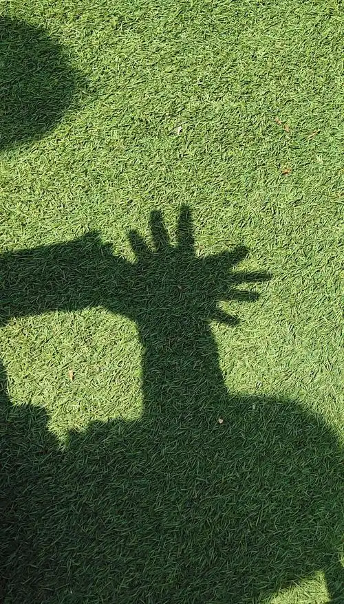 我和影子做游戏