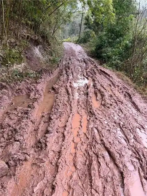 帮办出行太难东兴区这里的村民苦稀泥巴路久矣