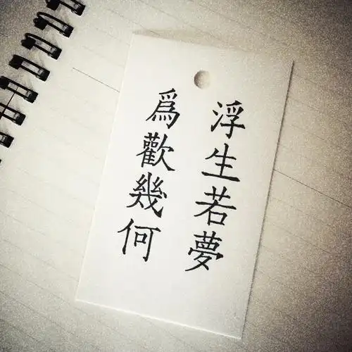 浮生若梦为欢几何