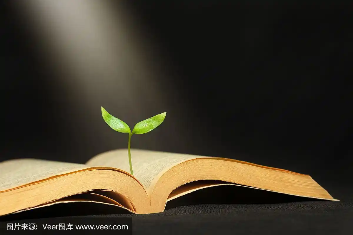 植物从书中向阳光生长