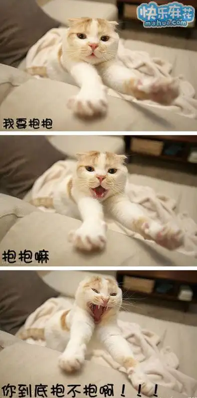 卖萌 卖萌笑话_搞笑图片_快乐麻花