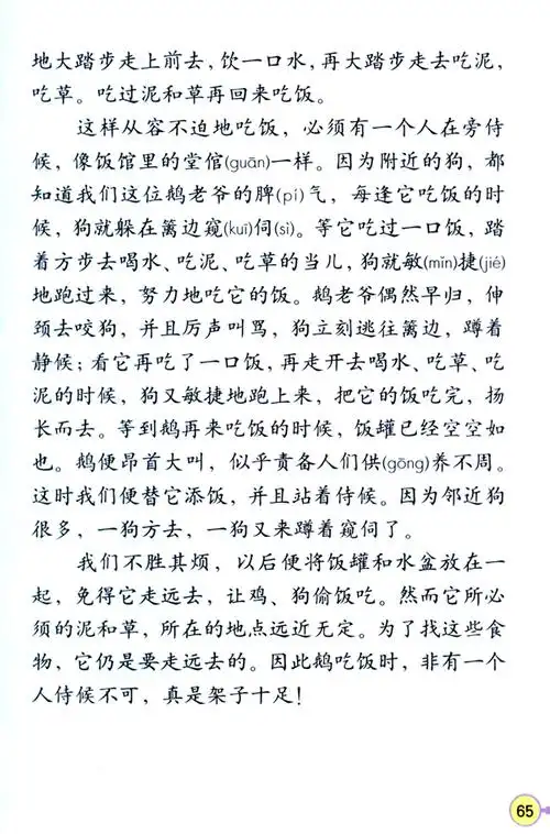 电子课本【四年级语文上册】(人教版)- 13 白鹅