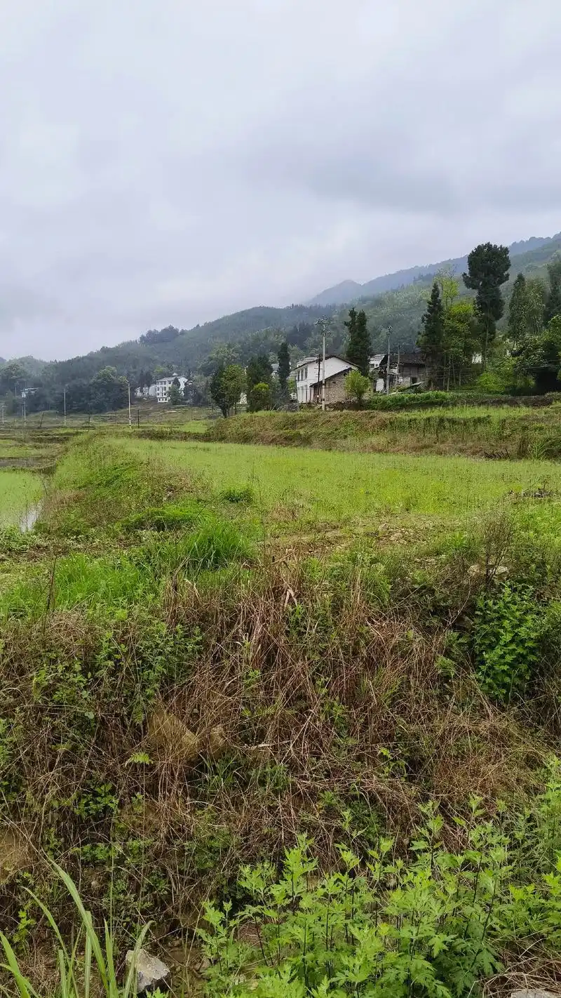 农村风景.农村风景##风景优美空气清新 ′#金山银山不如绿水 - 抖音