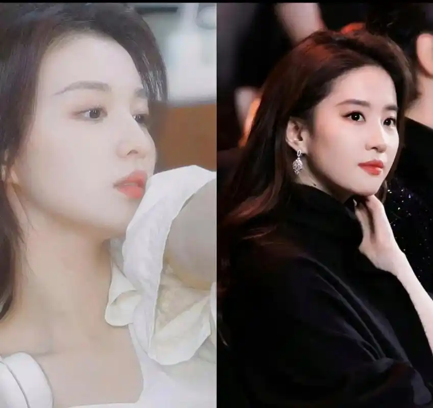 王楚然vs金星vs刘亦菲