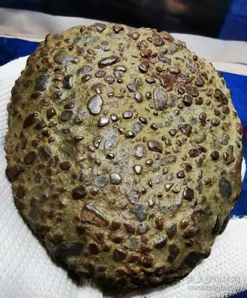 陨石原石,稀有陨石奇石"金蟾蜍""纯天然极品气印满满陨石",极品收藏,"