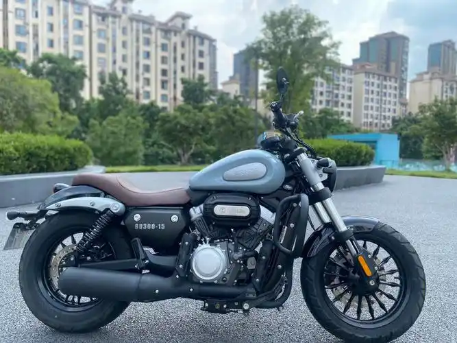 21年年底金吉拉300