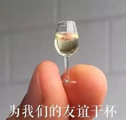 为我们的友谊干杯(微型酒杯 虚假友谊) - 戏精专用表情包_斗图表情