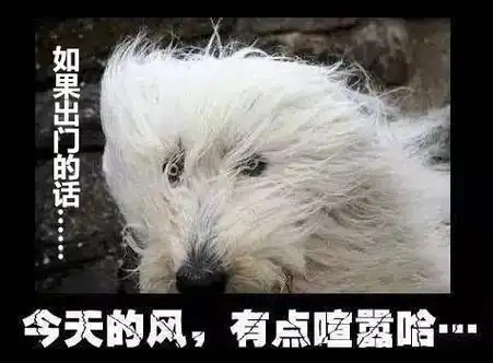提示!今儿个大风呼呼吹,下周是个啥天气?