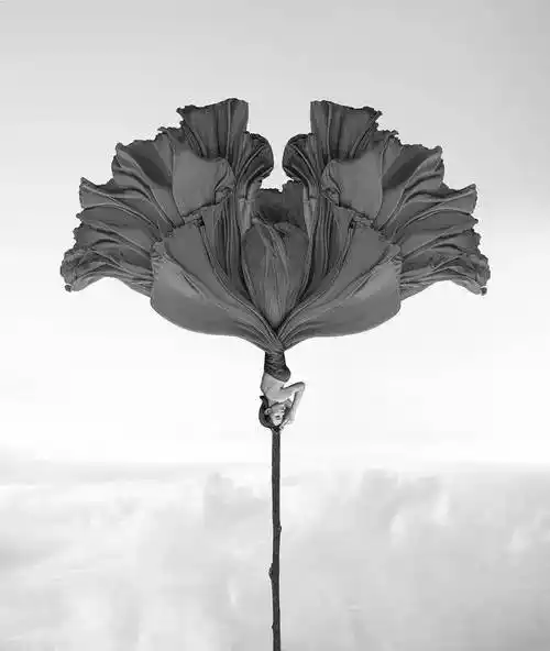 世界十大美术摄影师佳作欣赏