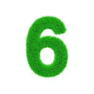数值顺序字母数字6.绿草的草制字体.3d 渲染在白色背景下被隔离照片