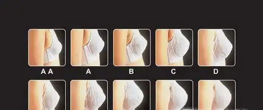 女生,你的罩杯有多大?-排行时榜