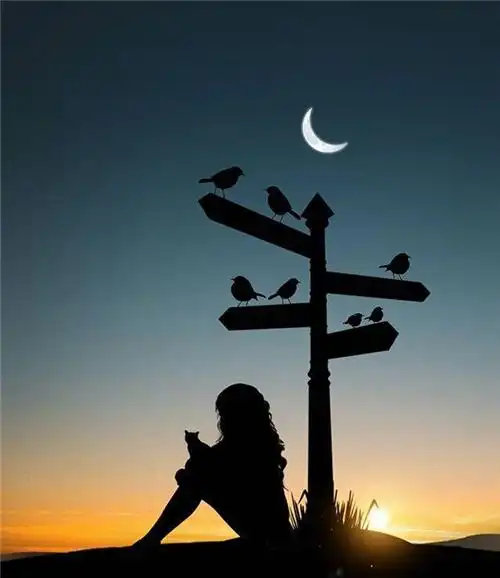 表达心情不好的句子_表达心情不好的英文句子_表达心情不好的句子