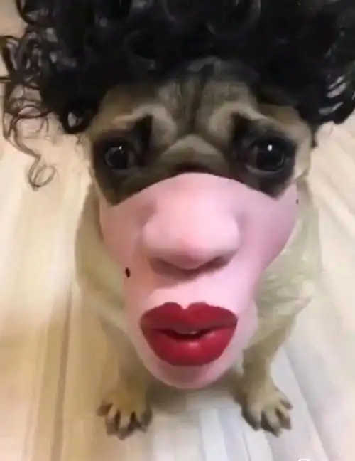 看了之后立马让人破口大笑欣喜若狂的搞笑图片2