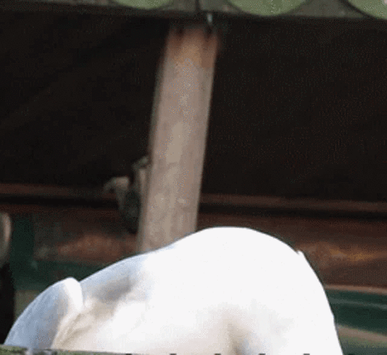 王一博笑出后仰表情包,钱枫湿身添笑料,天妈宠儿溢于言表