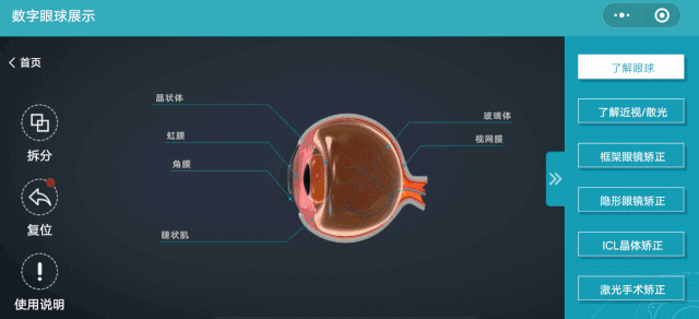 眼球3d可视化解决方案案例详解