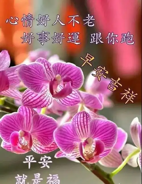 早上好的句子清晨问候语录最新版早上好2022表情图片漂亮好看最新版