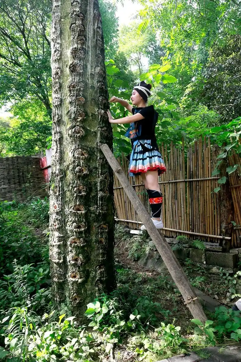 荔波 | 瑶族白裤瑶粘膏染,世代相传的民族工艺