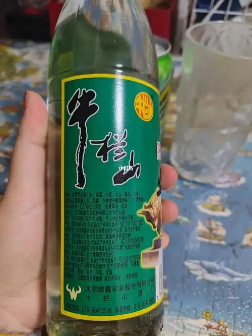 牛栏山橙汁茶水冰块沸腾片