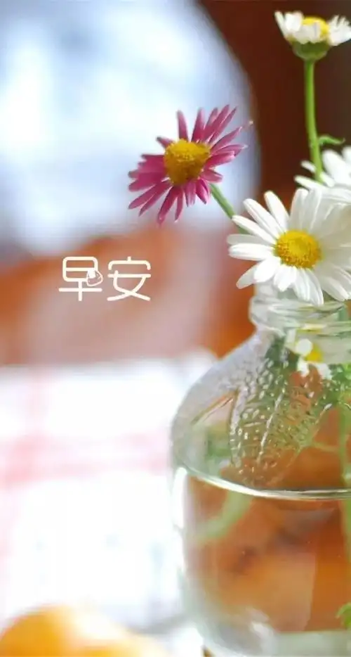 早安图片唯美 早安正能理语录 唯美语录句子_非主流个性网