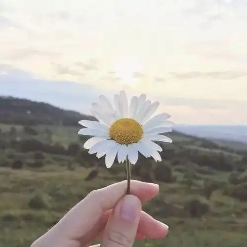 手持花朵小清新微信头像